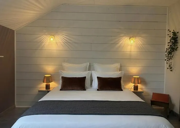 Des 5 Mondes Piscine Et Billard 10 Pers Villa Treillières