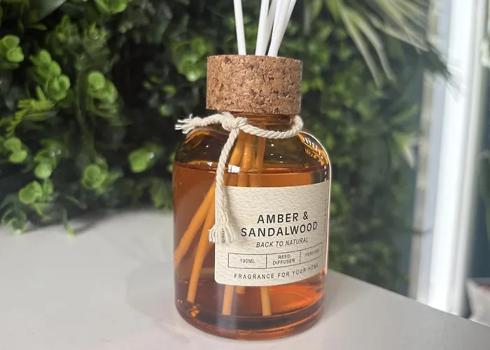 Des 5 Mondes Piscine Et Billard 10 Pers *