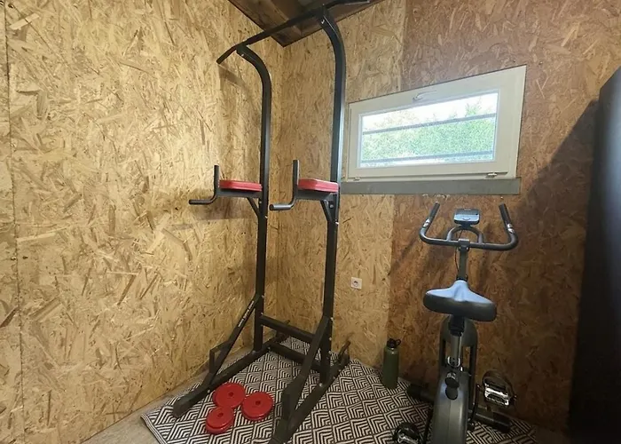 Des 5 Mondes Piscine Et Billard 10 Pers Treillières